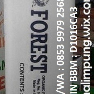 PUPUK FOREST MAKASSAR