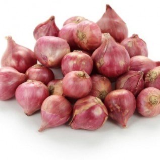 Bawang Merah Organik