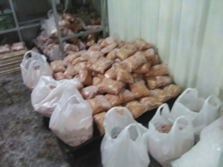 Ayam karkas frozen