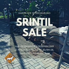 Kotoran Hewan Ternak Domba (Srintil)