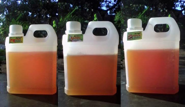 jual madu