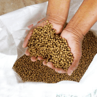jual berbagai macam pakan ikan apung fiot surabaya