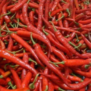 Cabe merah besar