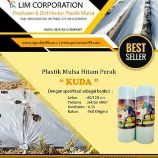 Mulsa Plastik Untuk Cabai Berkualitas