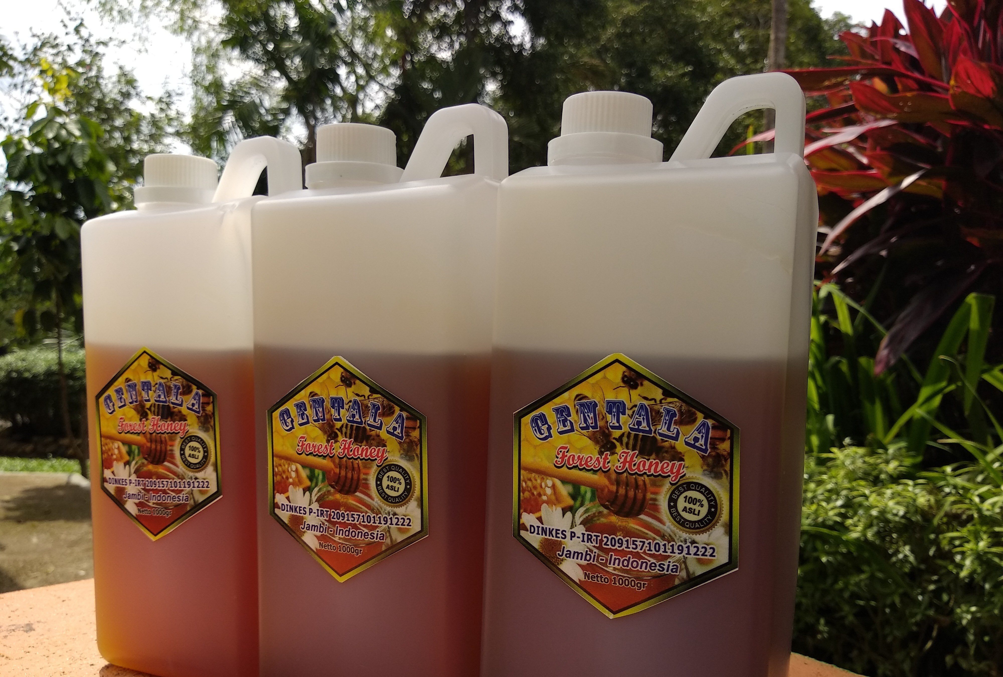 Gentala Forest Honey (Madu Hutan Sumatera)