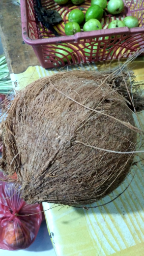 Kelapa Tua/Buat Santan