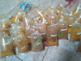 kelapa Gongseng
