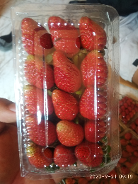 STRAWBERY FRESS DAN FROZZEN