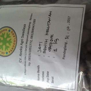 Benih Jati Unggul