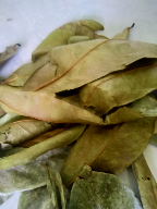 Daun sirsak kering