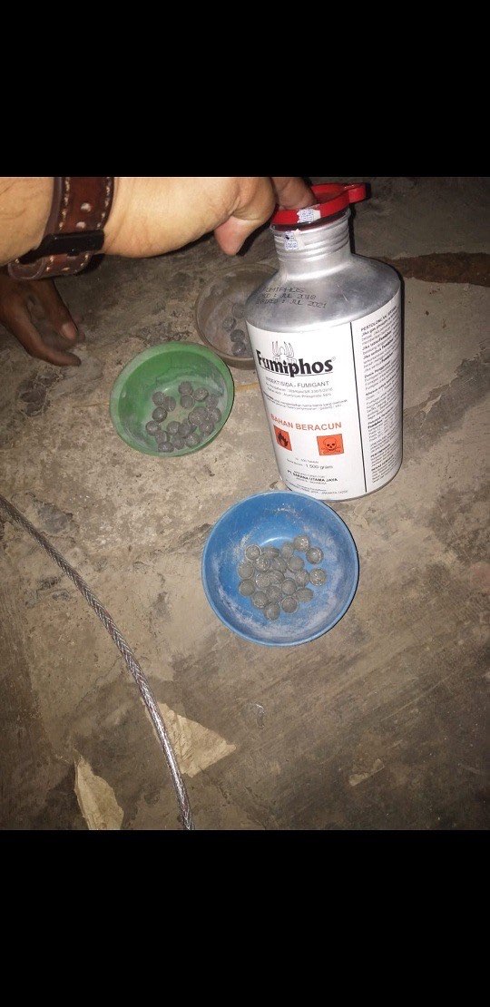 Fumigan atau Obat Fumigasi beras jagung kopi tembakau FUMIPHOS 56T BEST SELLER