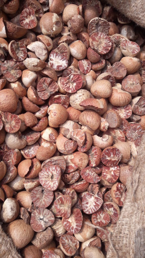 Buah pinang kering belah dua