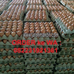 Telur Ayam Ras Blitar
