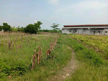 Tanah 2 hektar