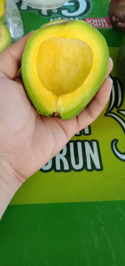 Alpukat mentega lampung timur