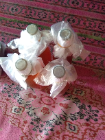 Madu Asli 100% Garansi