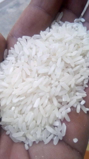supplier beras berpengalaman (jual beras jawa timur)
