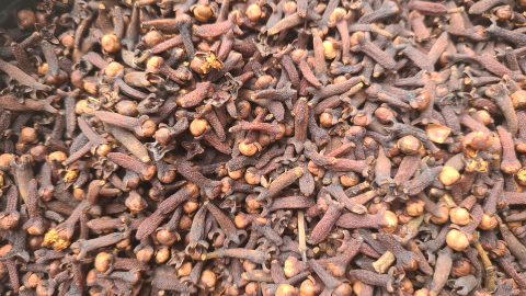 cengkeh