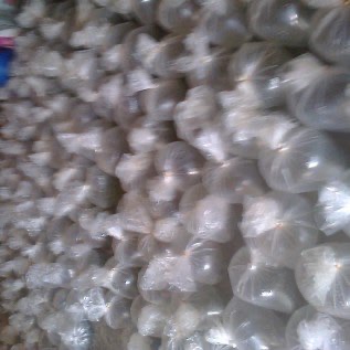 JUAL BIBIT IKAN GURAME, BENIH IKAN GURAME,  TELUR GURAME