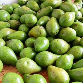 buah buahan