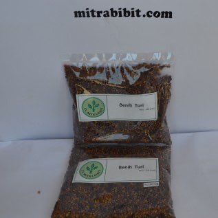 Biji/Benih Turi