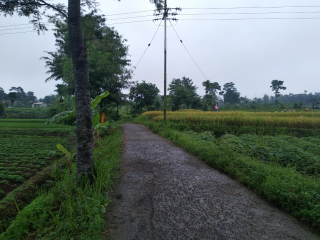 jual tanah