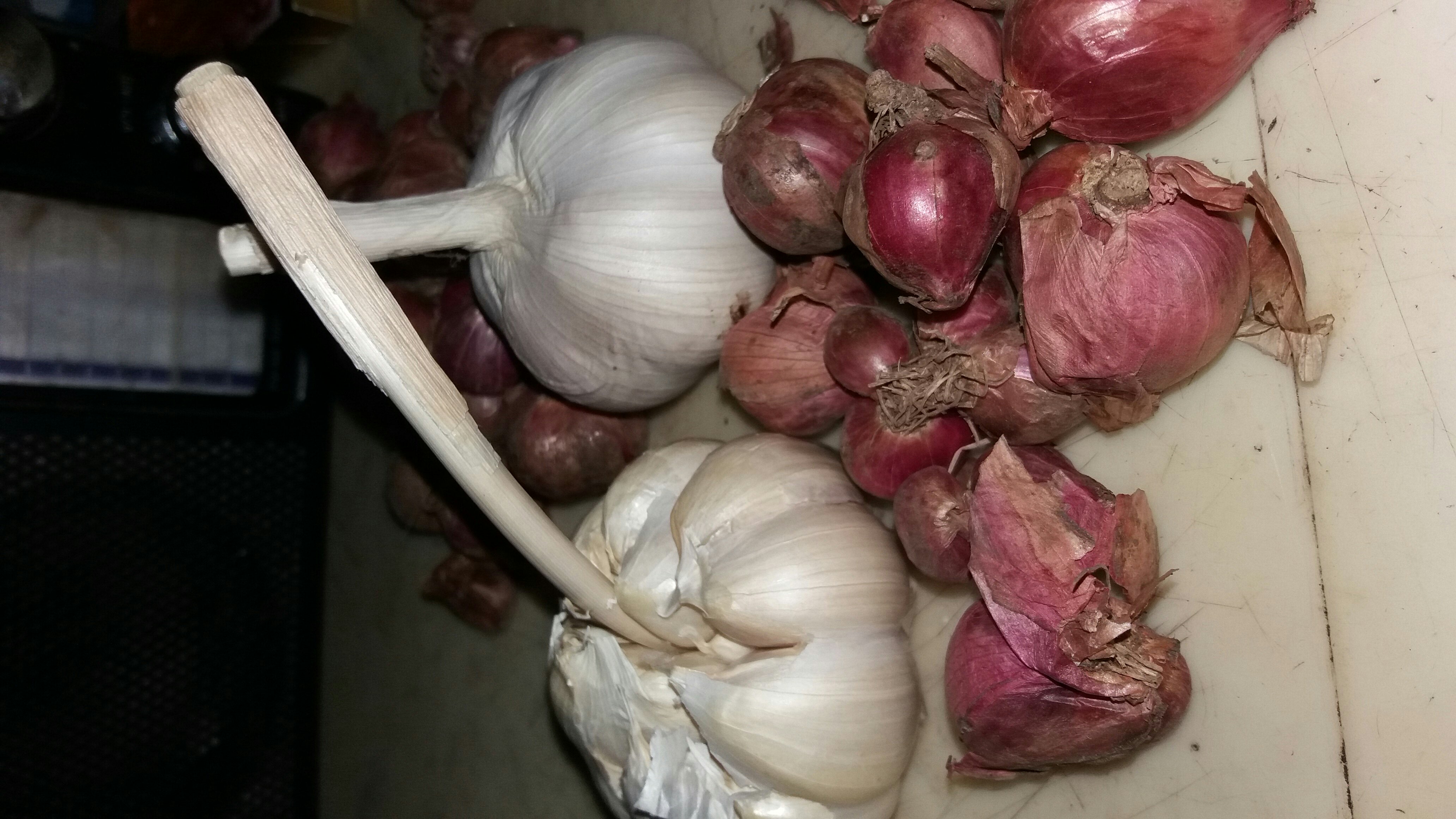 jual bawang putih/merah/bombay