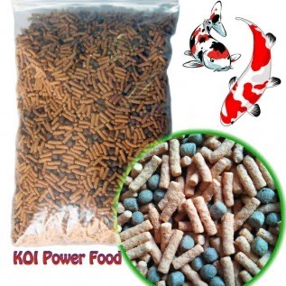Koi Power Food