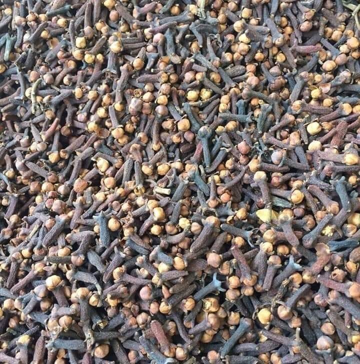 JUAL CENGKEH / CLOVE