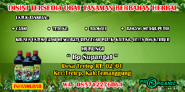 Pestisida Organik Infra Merah untuk Obat Patek Jamur Tanaman