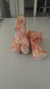 Tulang Sumsum Sapi