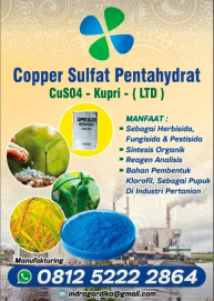 Copper Sulfat Pentahydrate