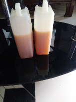Madu Klanceng (Apis Trigona)