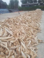 GAPLEK SINGKONG FOOD GRADE DAN FEED GRADE