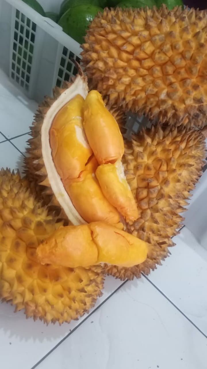 Durian Exclusive Kuning Mas