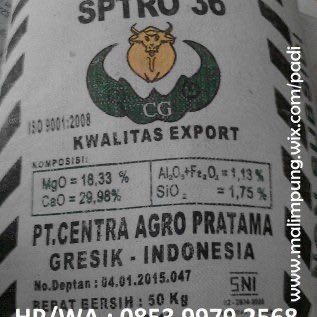 PUPUK SPTRO 36 MAKASSAR.