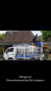 suplayer ikan air tawar