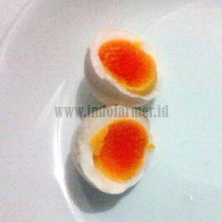 Telur Ayam Kampung 