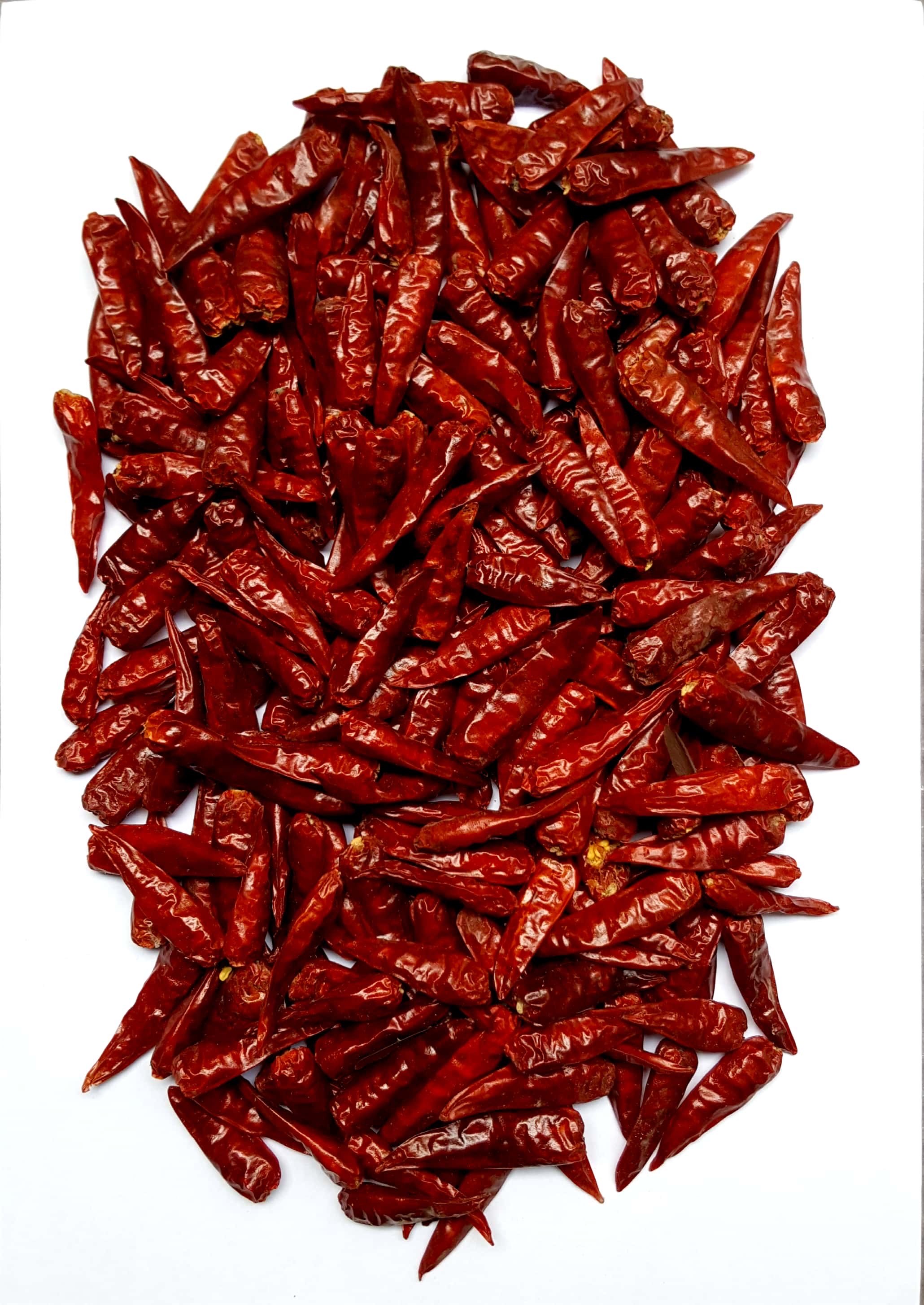 Cabe Kering Tanpa Tangkai