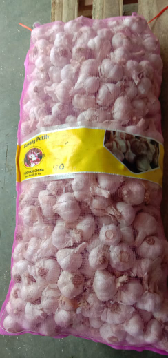 Bawang putih KATING