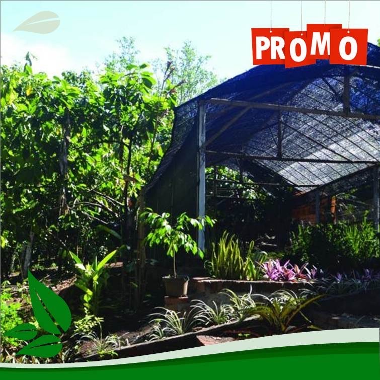 Jual Paranet Murah dan Berkualitas