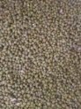 Kacang Hijau