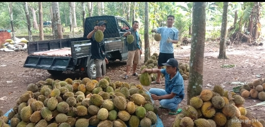 Durian