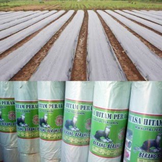 Jual Plastik Mulsa Hitam Perak Harga Murah