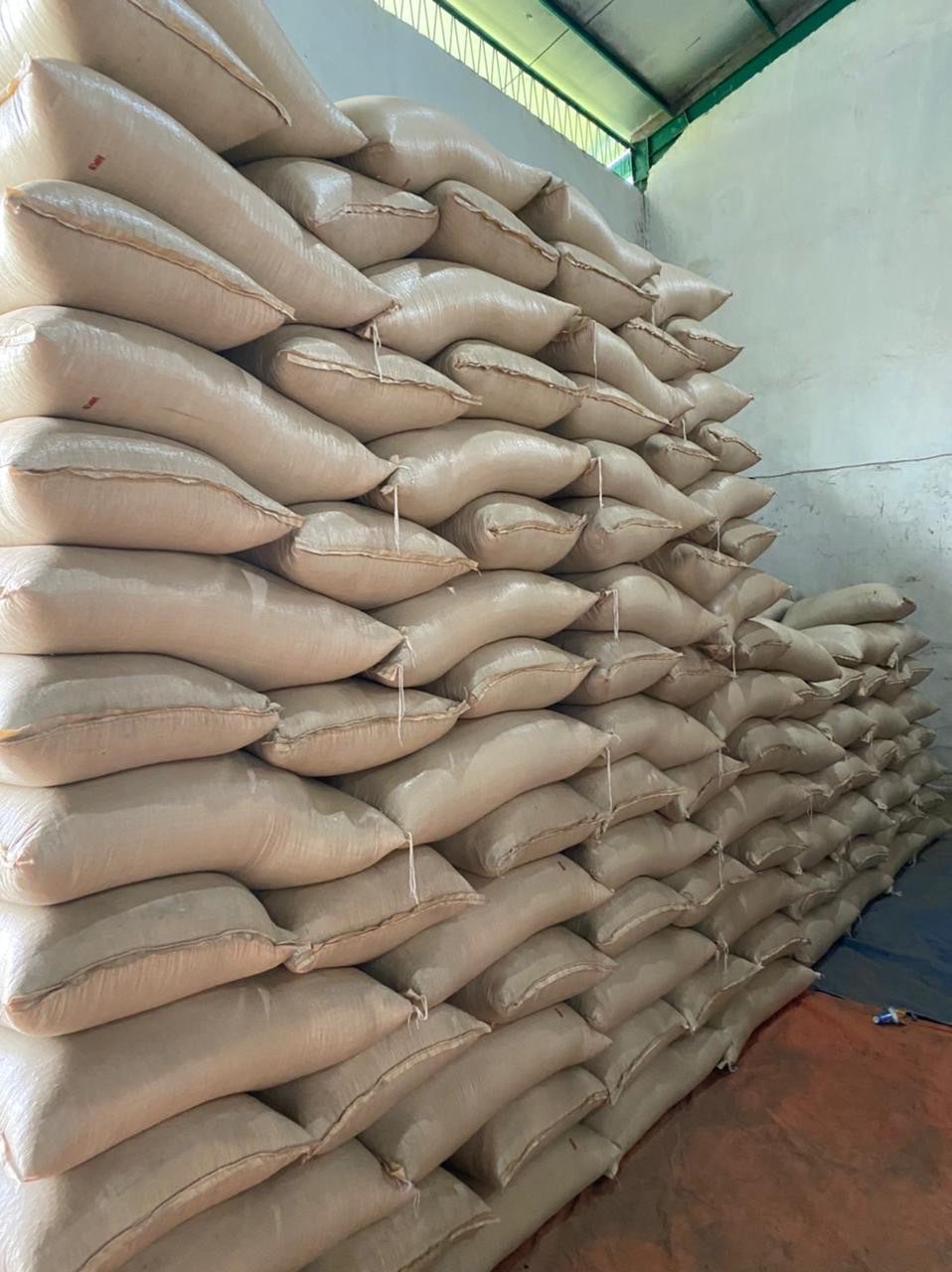 LADA PUTIH / White Pepper