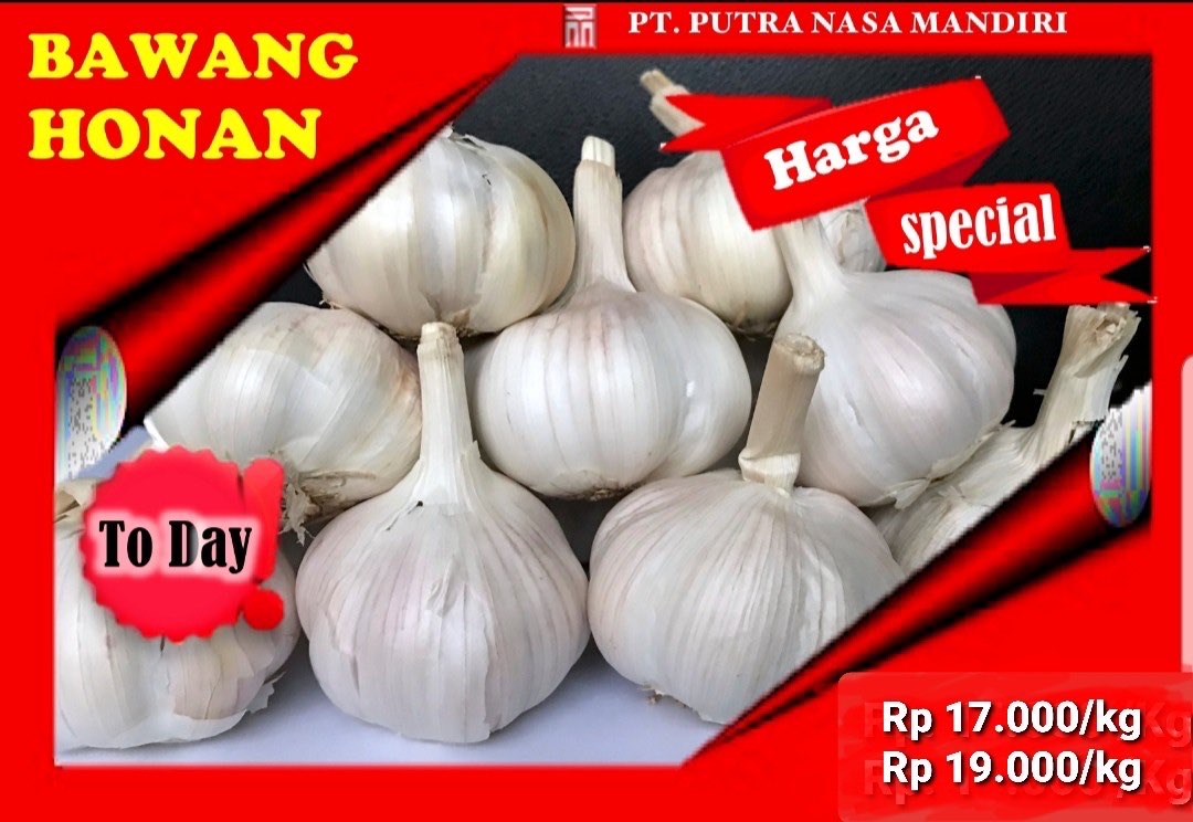 Bawang Putih impor