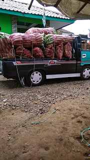 Sayur Segar