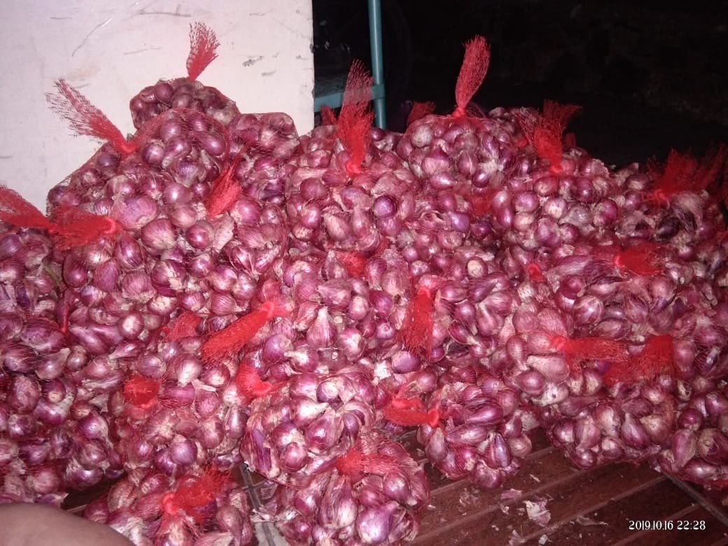 Bawang Merah Brebes