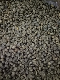 Green Bean Arabika
