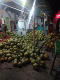 Kelapa Dawegan